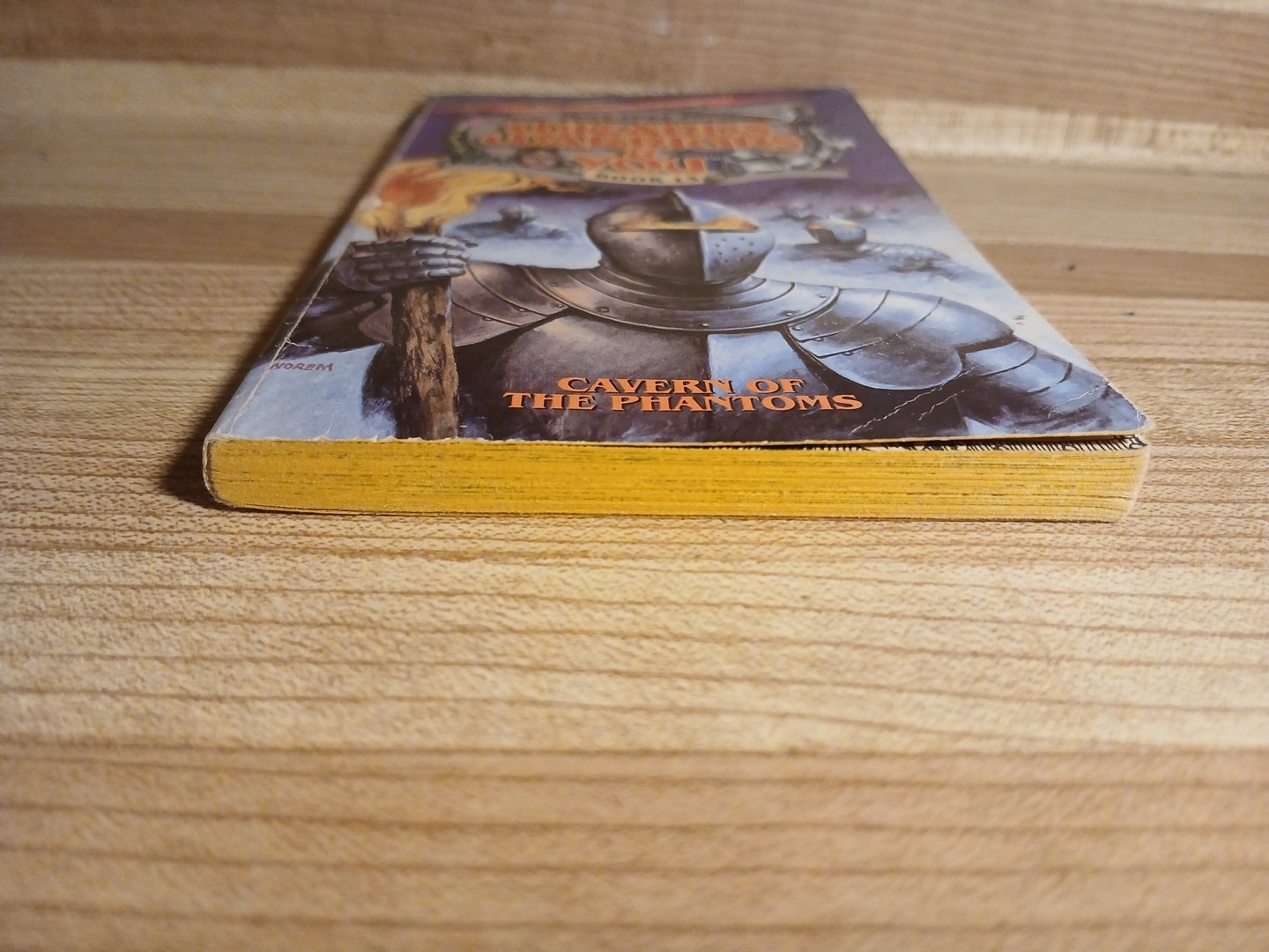 Wizards Warriors & You Book 13 Cavern Of The Phantoms By R. L. Stine CYOA
