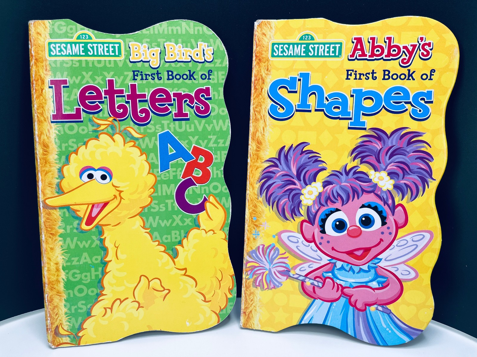 Lot of 10 Children’s Baby Toddler Board Picture Books Kids Daycare Family VIDEO