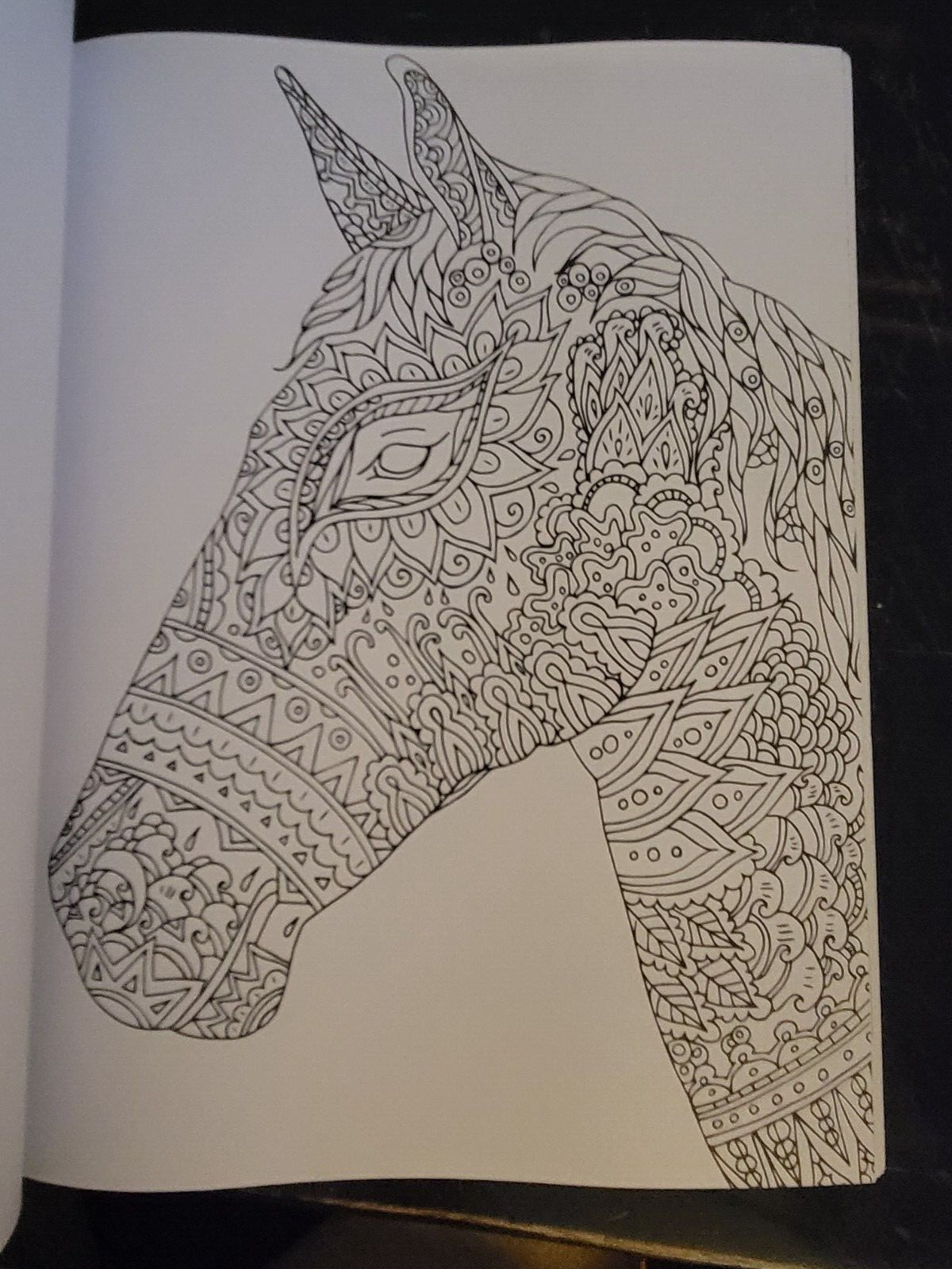 COLORS OF THE WILD Vol. 19 Adult Coloring Book With 47 Prints Ready To Frame!