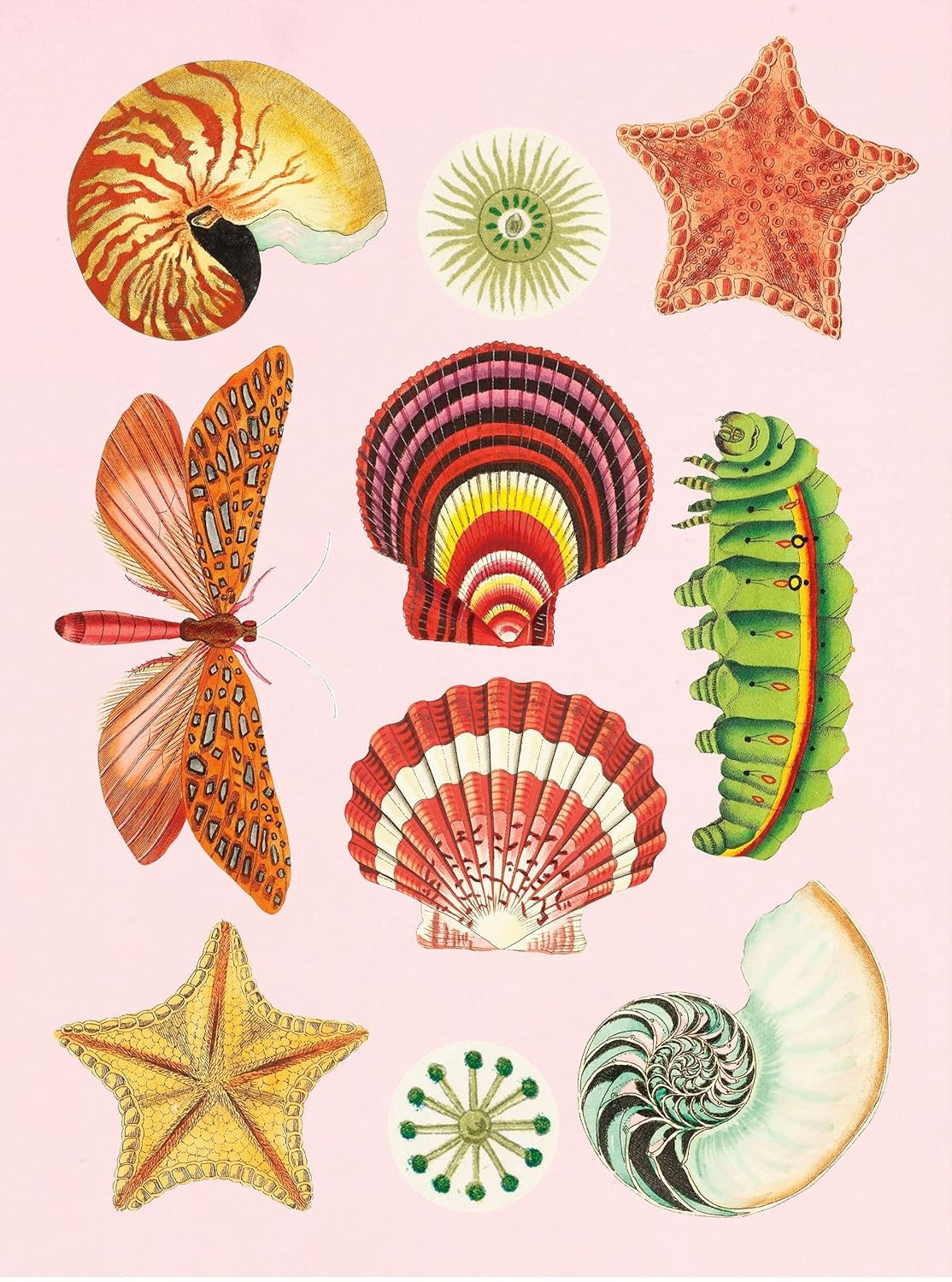 The Antiquarian Sticker Book: Over 1,000 Exquisite Victorian Stickers (The