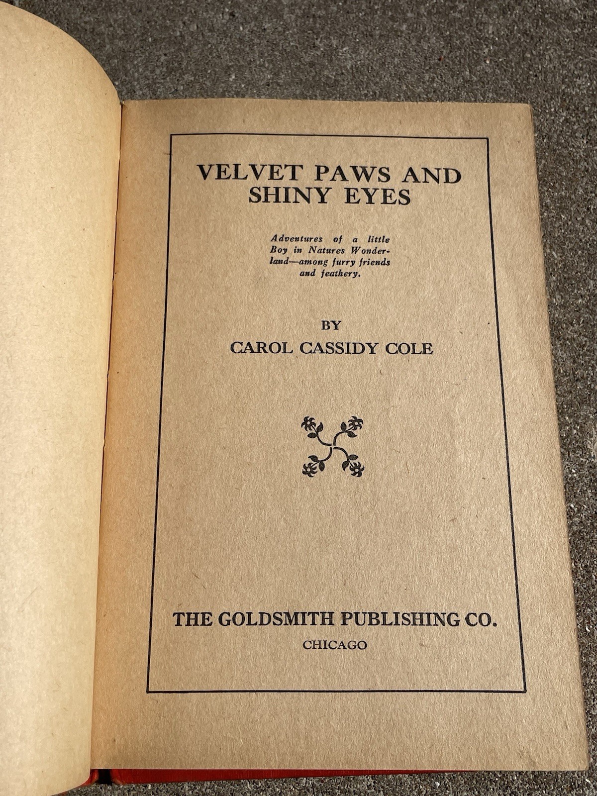 Lot 3 Goldsmith Carol Cassidy Cole Childrens Books Vintage 1928 Hardcovers 1st