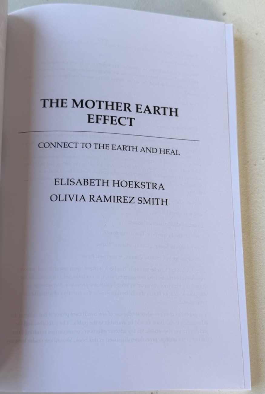 MIXED Set of 3 Paperback Books “Identity, Earthing, Mother Earth Effect” (EUC)