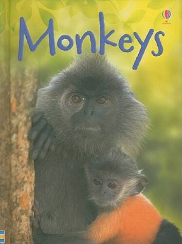 Monkeys (Usborne Beginners) – Hardcover By Bowman, Lucy – VERY GOOD