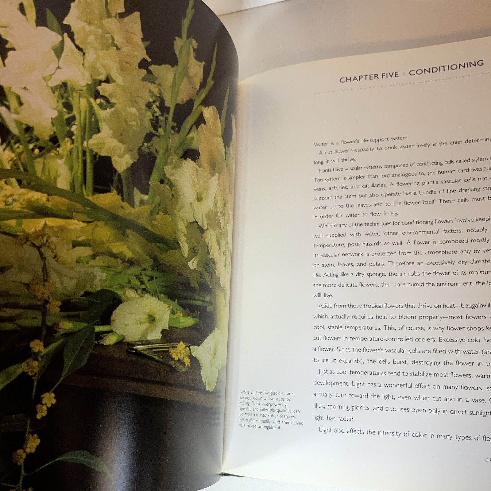 Madderlake Flowers Rediscovered 1985 First Edition Hardcover Dust Jacket NEW