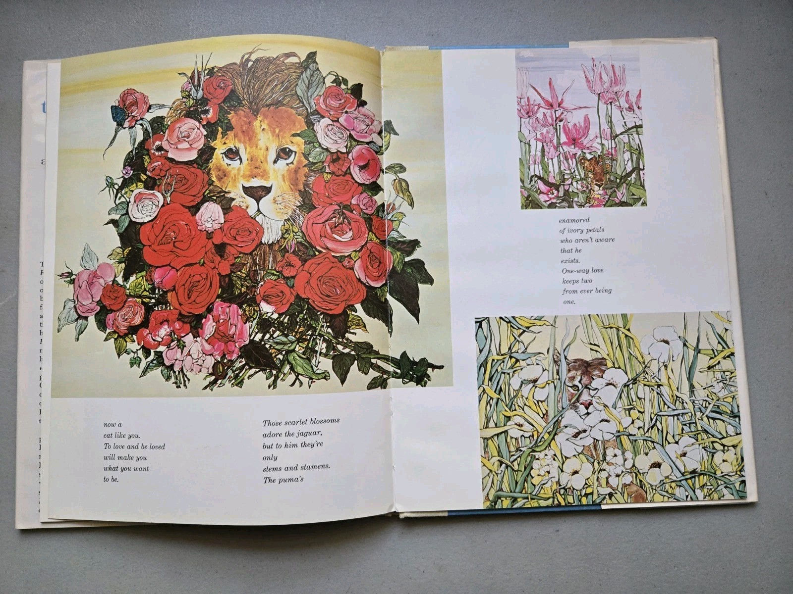 THE LOVE OF TIGER FLOWER 1980 HC DJ 1ST Edition Robert Vavra Fleur Cowles