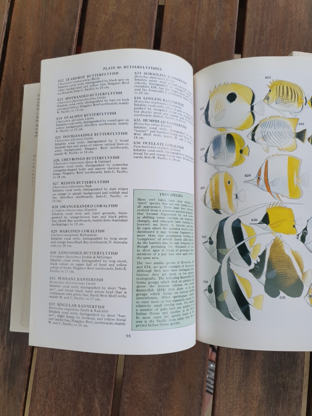 Marine Fishes of North-Western Australia Gerald R Allen 1988 Superior Plates