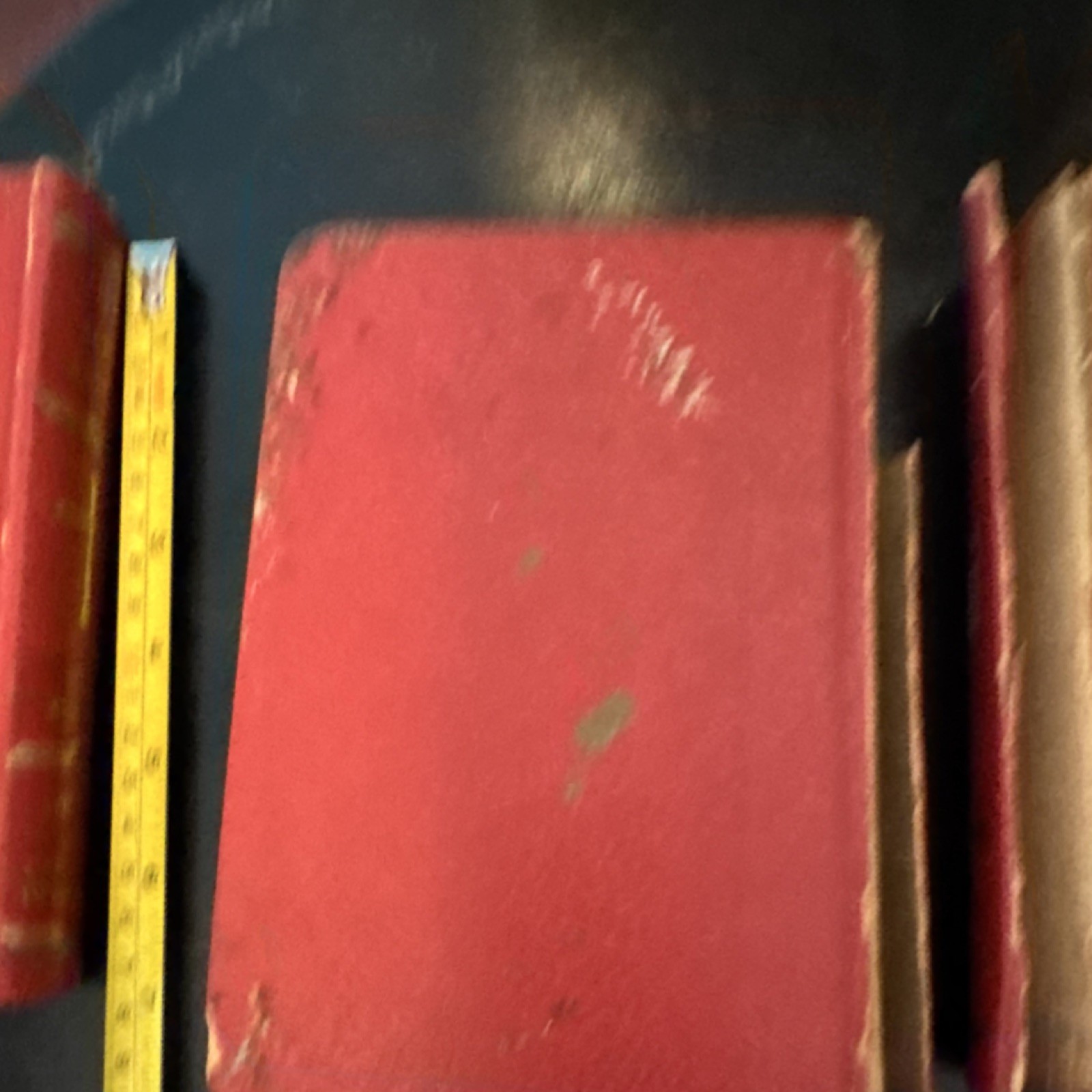 The Catholic Press The Lives of the Saints Michael Garicoïts 1962 Illustrated HC