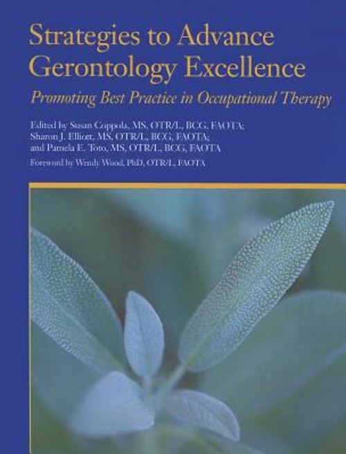 Strategies to Advance Gerontology Excellence : Promoting Best Pra