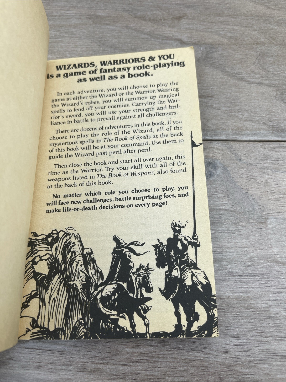 Challenge of the Wolf Knight R L Stine Wizards, Warriors, and You #7 1985 1st Ed