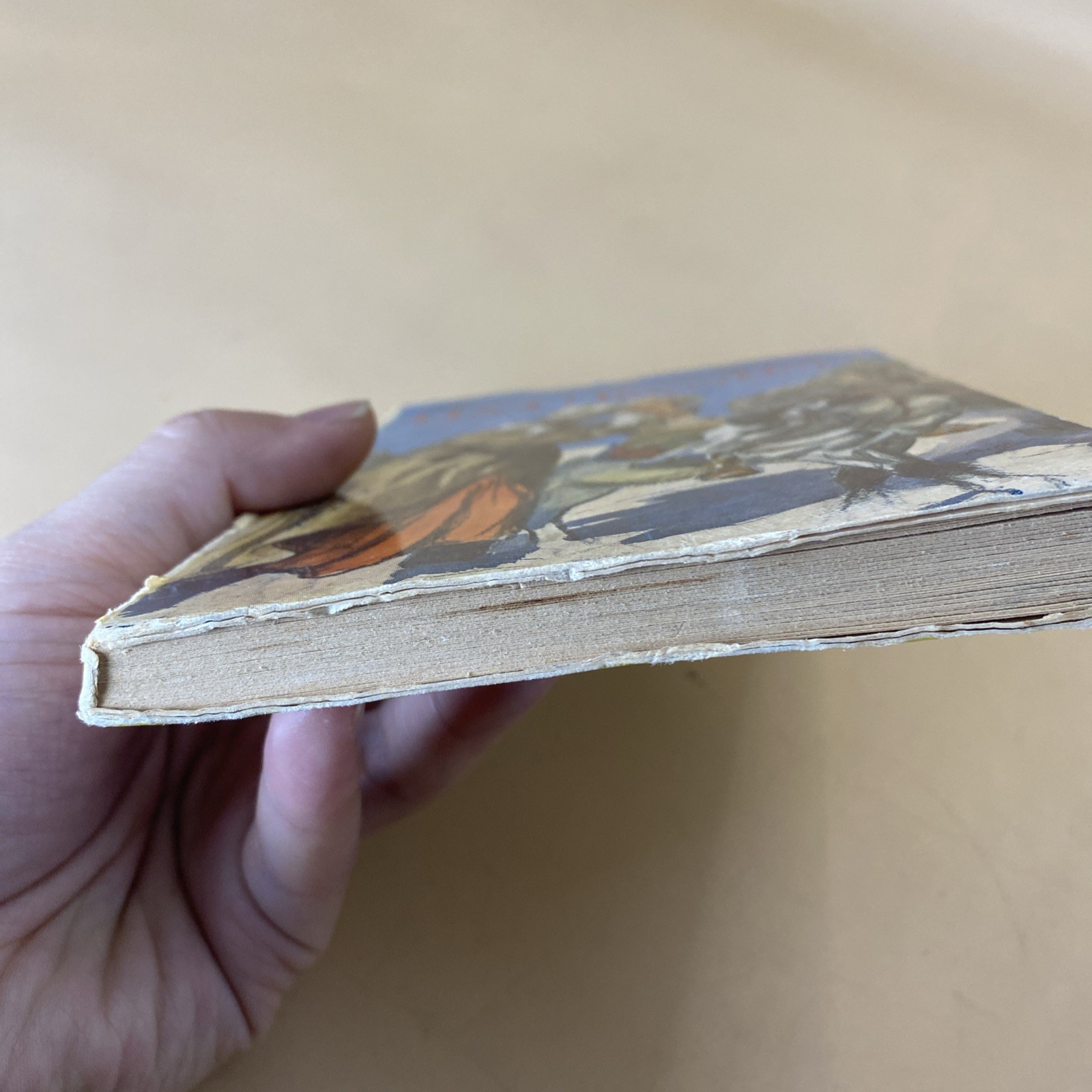 Lisa i Røverklør / 1960s Vintage book By Ingrid Tolderlund-Hansen in Swedish/