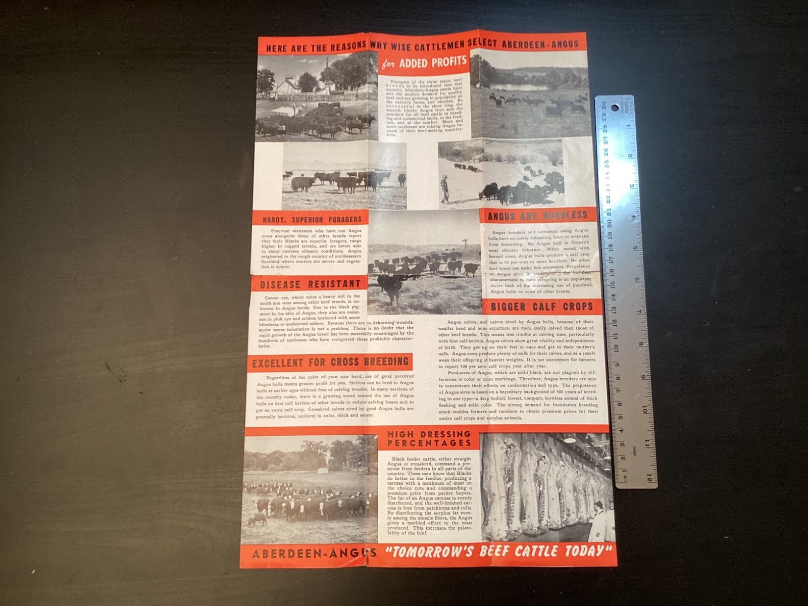 9 Vtg. 1950s Abeerdeen-Angus Books/Booklets History Rules Breeders Sales +
