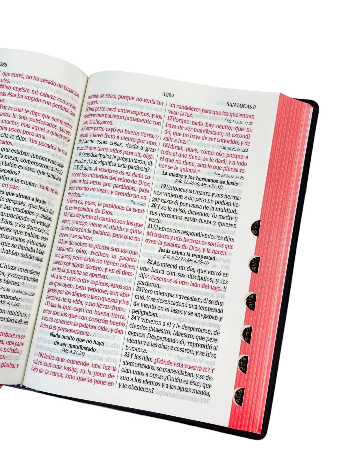 BIBLIA LETRA GRANDE REINA VALERA 1960 MANUAL VINYL NEGRO INDEX CONCORDANCIA AMP.