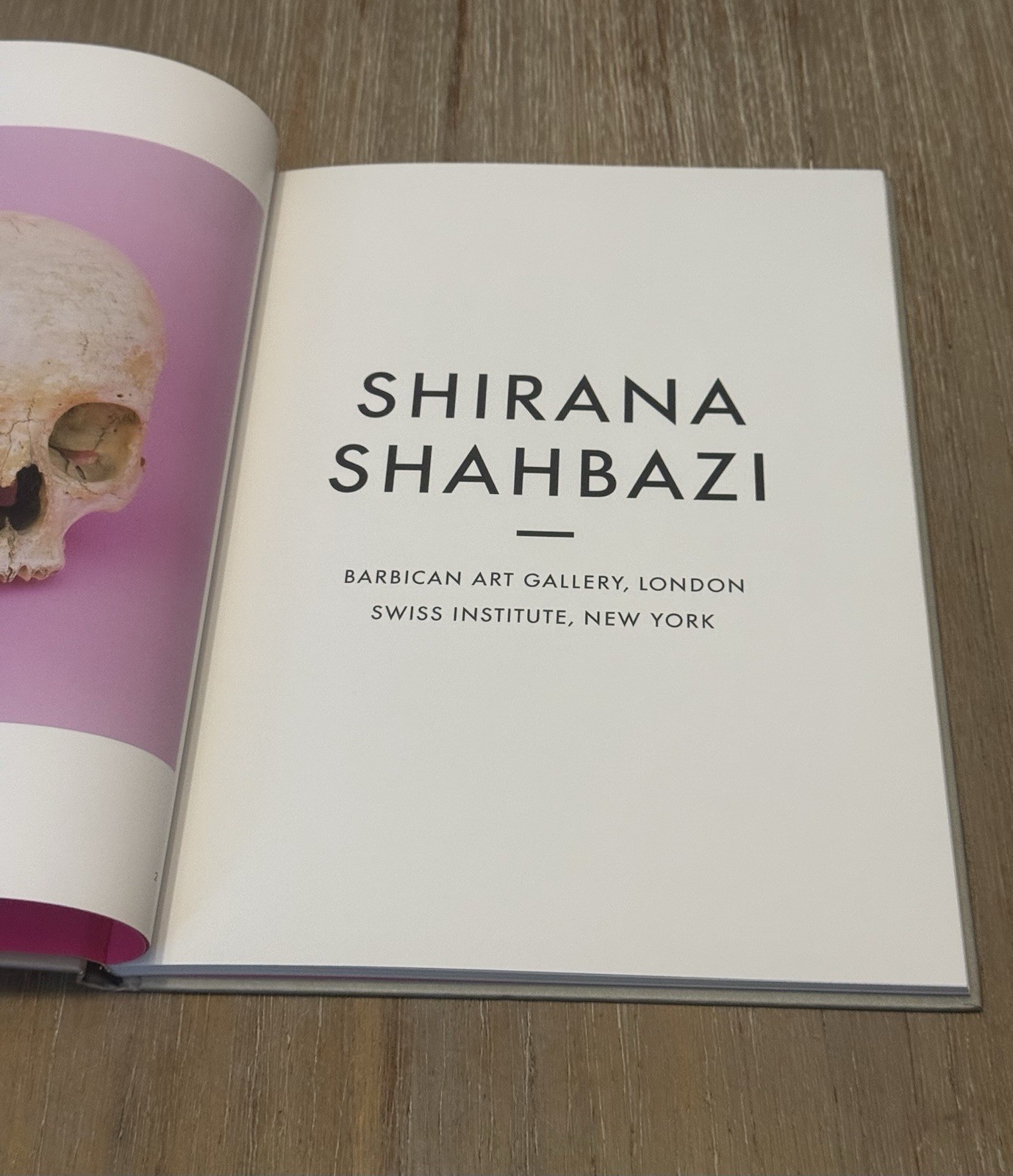 Shirana Shahbazi: Meanwhile by Shirana Shahbazi 2008 Hardcover / DJ