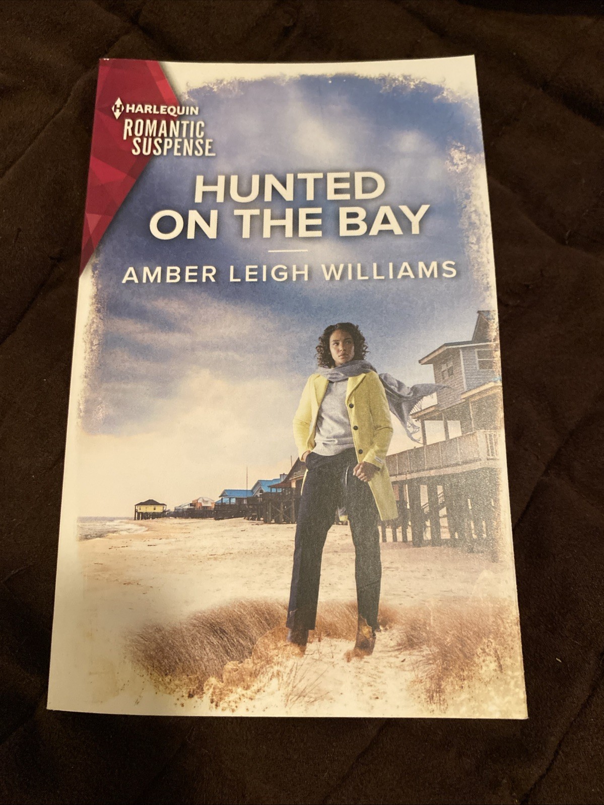 Hunted On The Bay Book Written By Amber Leigh Williams 283 Pages