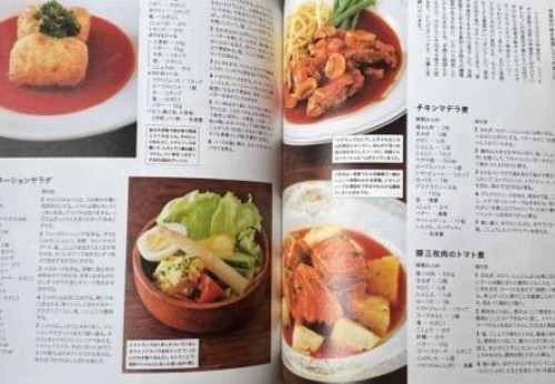 Japanese Cookbook Nippon Dishes Best 500 by 50 Chefs Japan Edition Recipe Book