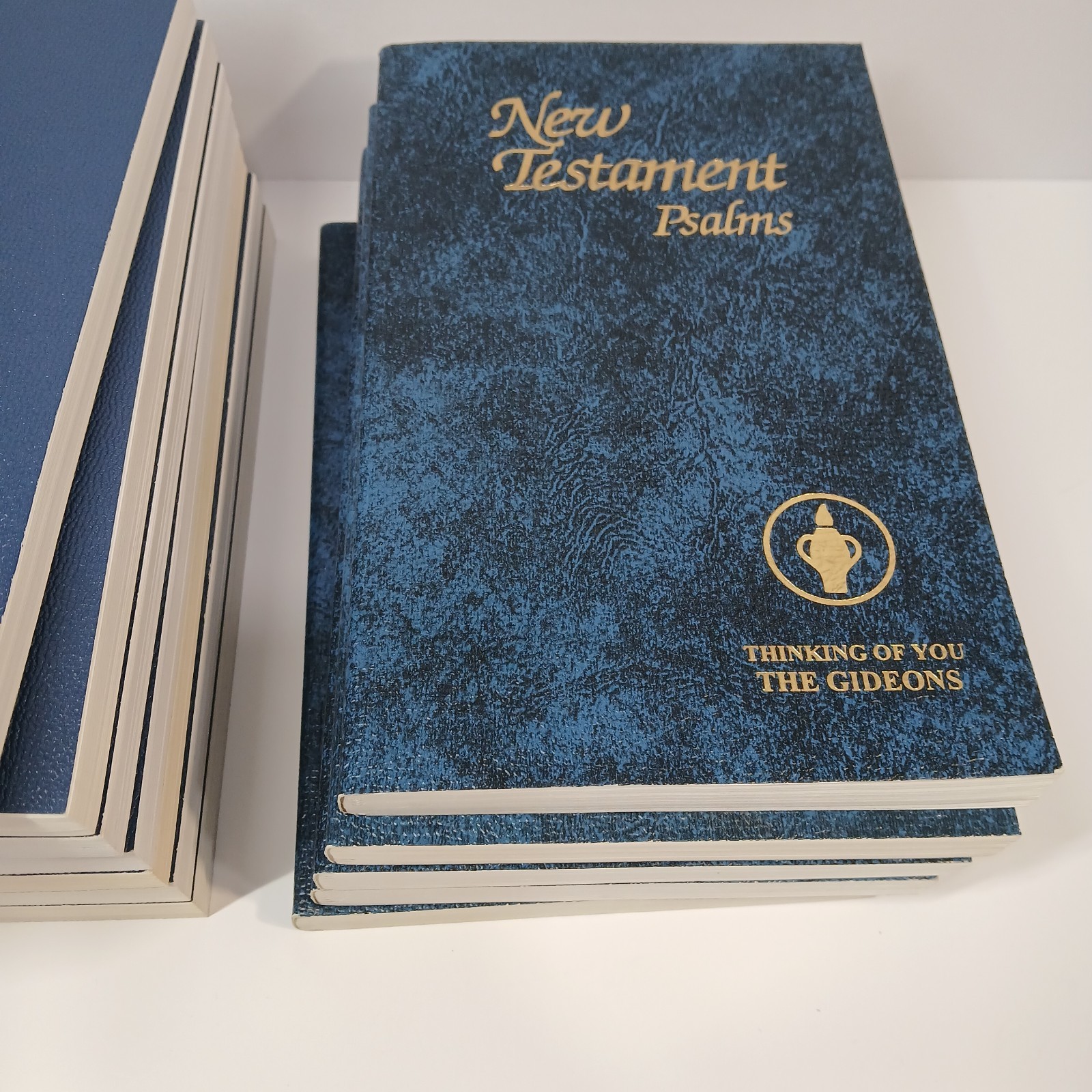 Lot of 13 New Testament Psalms KJV ESV Spanish Large Print Softcover 8.25 x 5.25