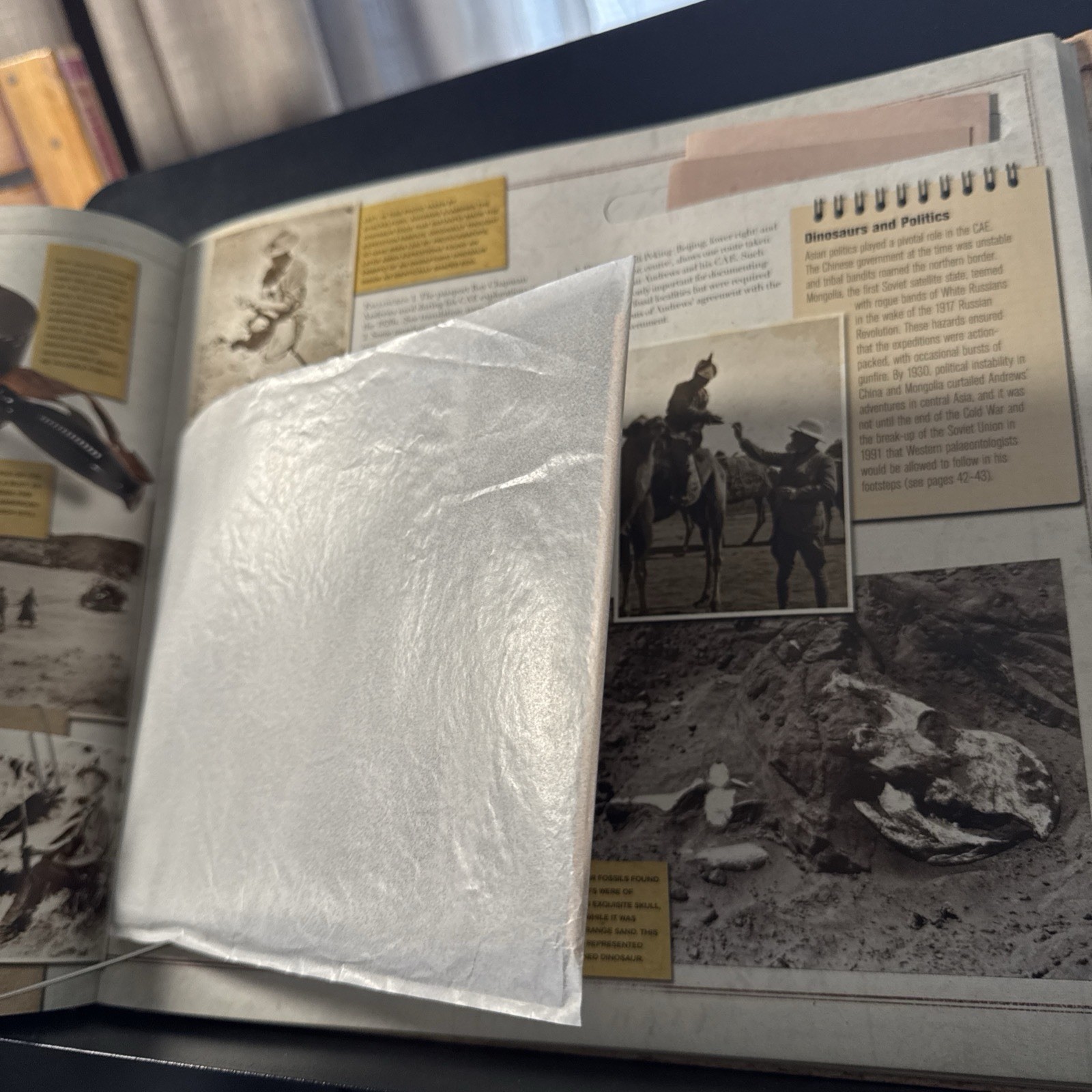 The Dinosaur Hunters | HC w/ 30 Fascimile Documents | Crate Case | Lowell Dingus