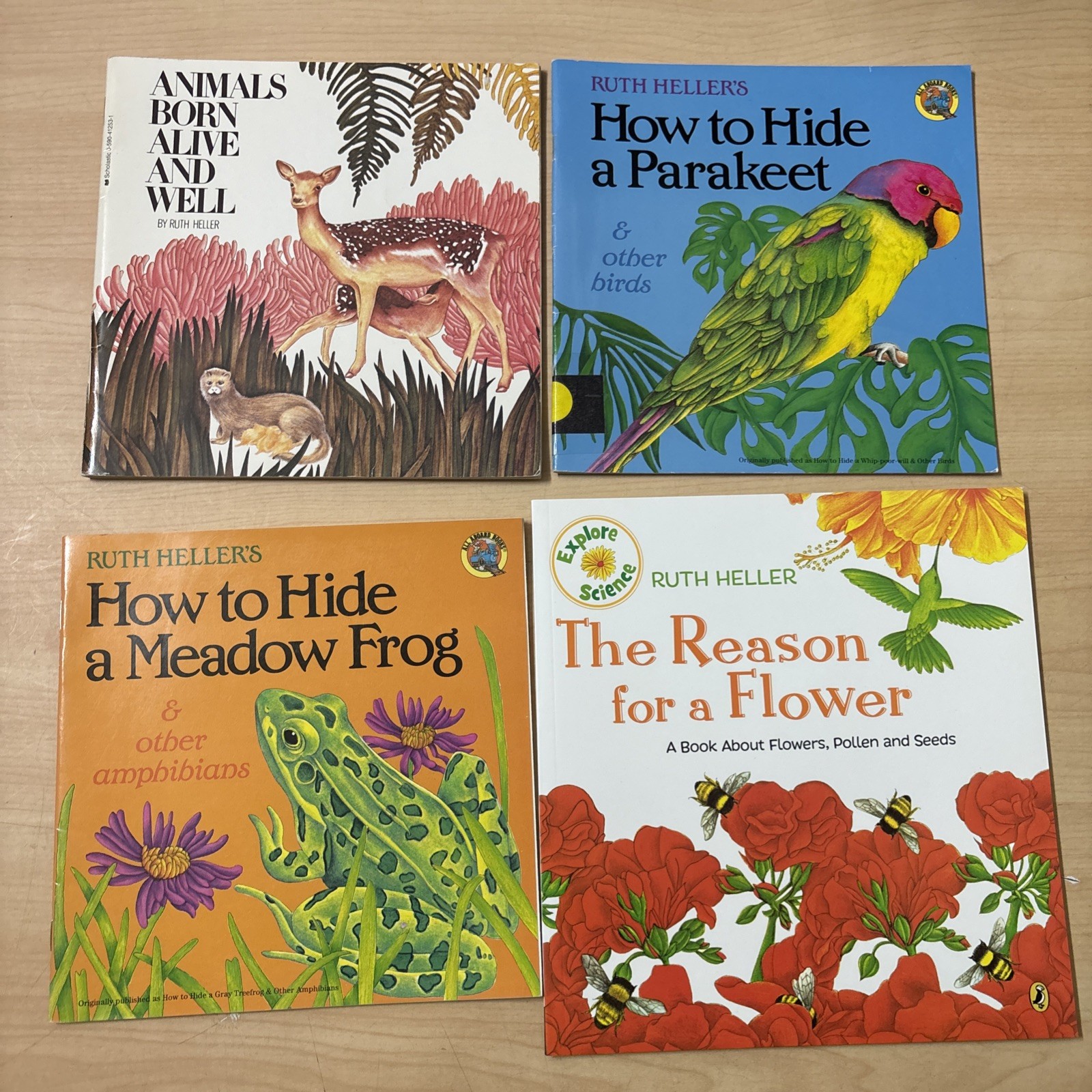 Lot 18 Ruth Heller Picture Books How to Hide Adverbs Nouns Pronouns Adjectives