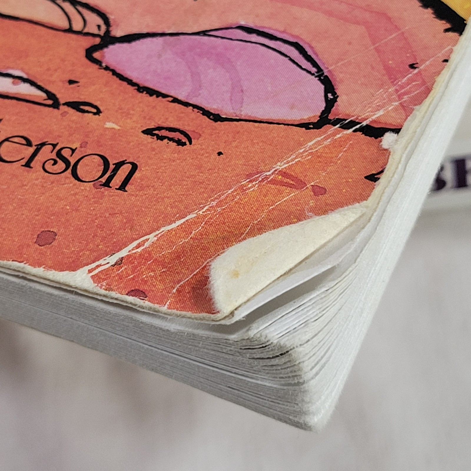 Calvin and Hobbes Book Lot Of 9 Paperbacks By Bill Watterson Cartoons USED