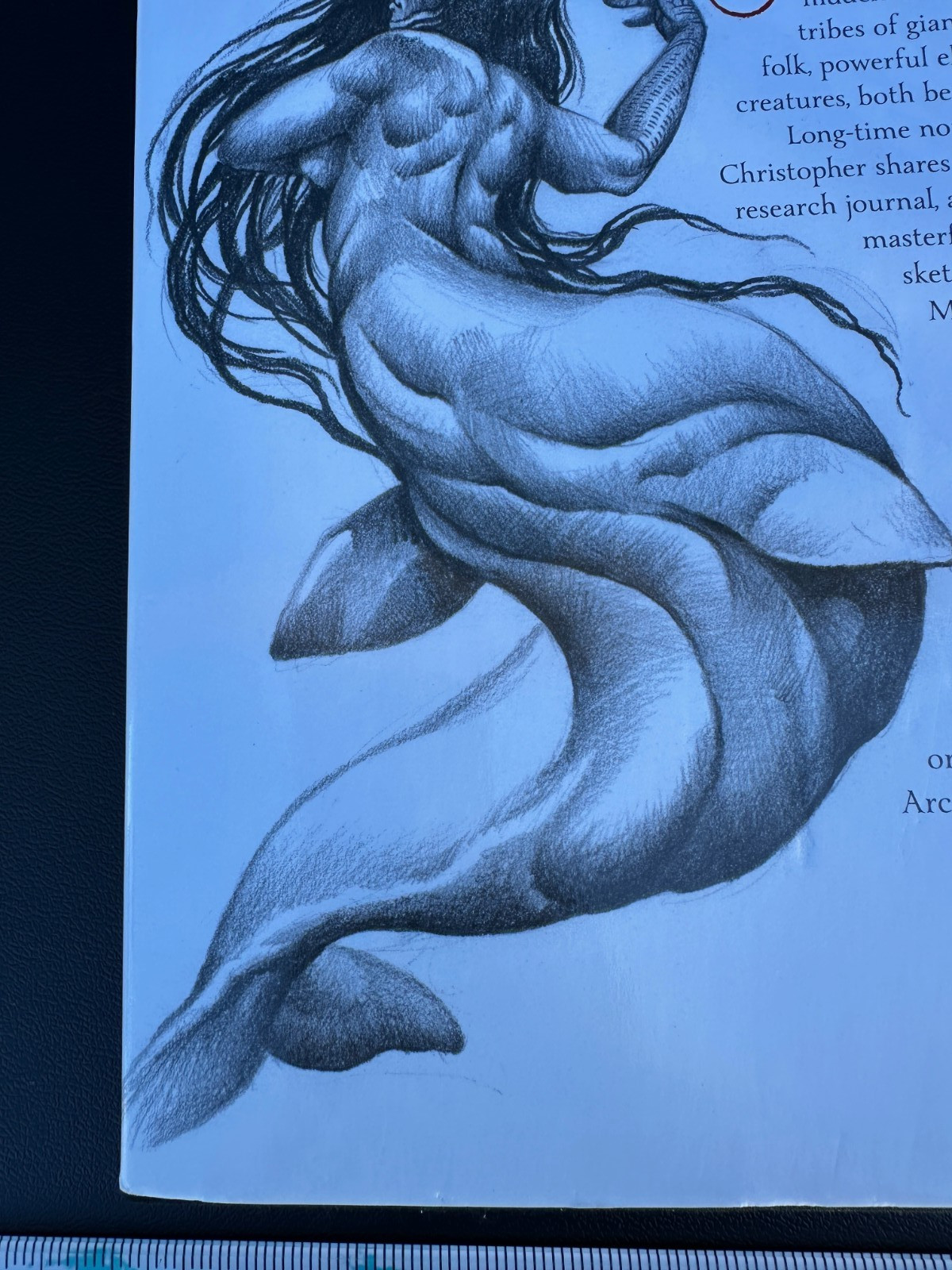 RARE 2014 The Hidden A Compendium Of Arctic Giants Faeries And Others By Neil C