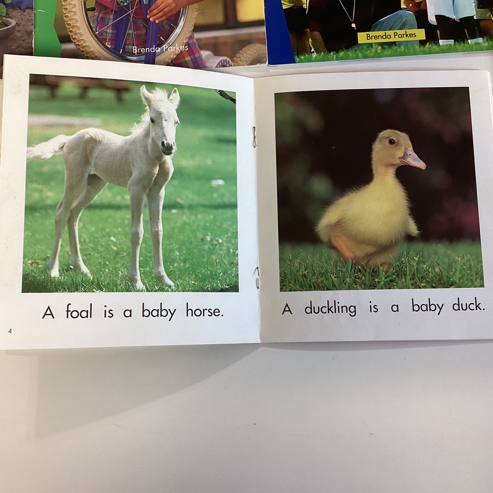 Kindergarten 18 Book Reader Lot Level A-C Newbridge Discovery Links
