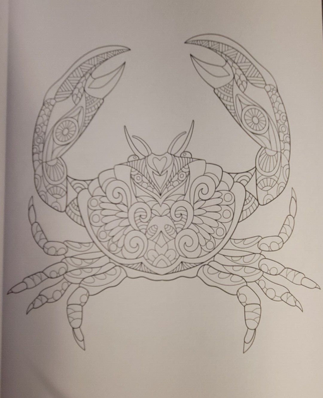 SEASUDE ESCAPES Adult Coloring Book With 62 Prints Ready To Color Relaxing Calm