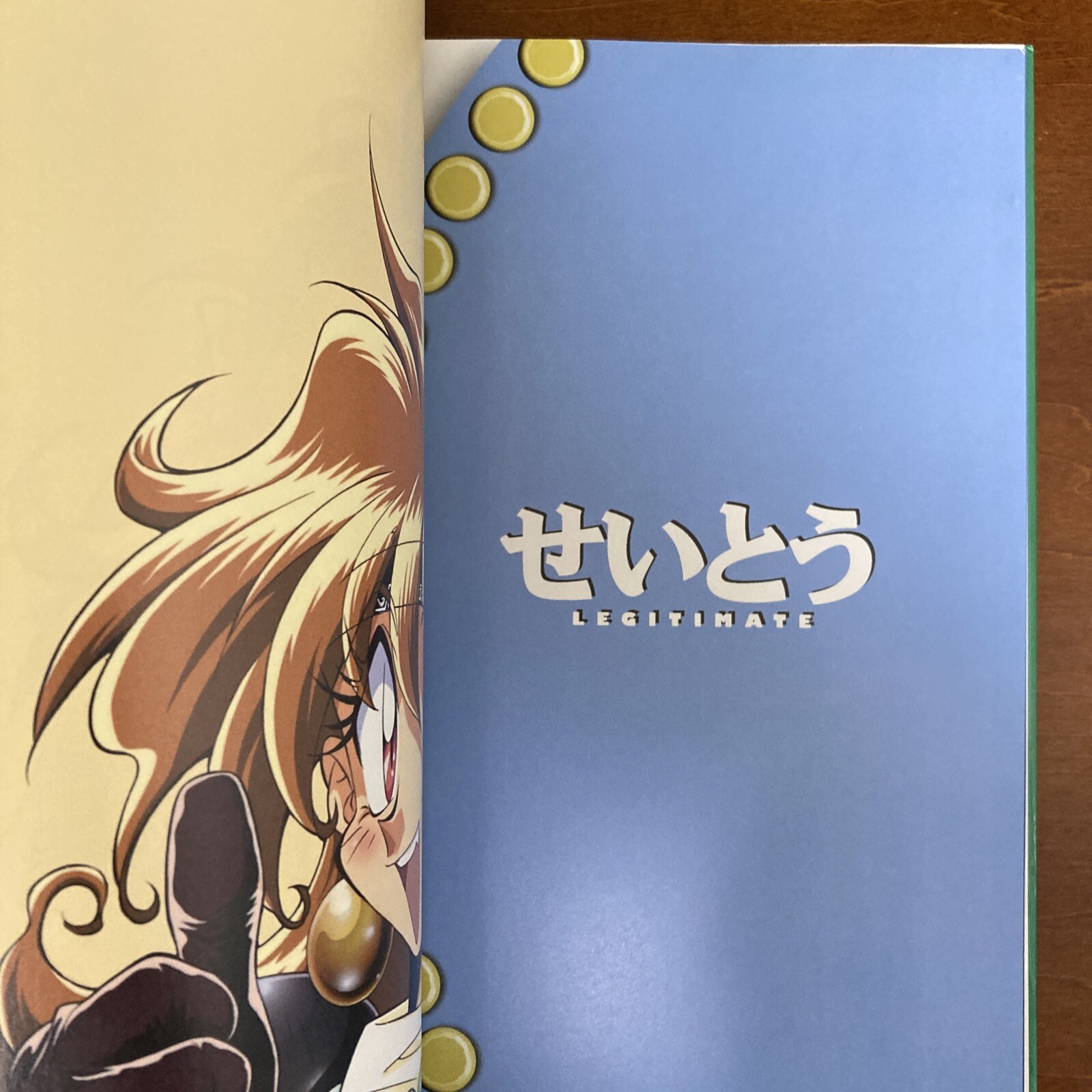 Slayers DRA-MATA Rui Araizumi Art Book Illustration