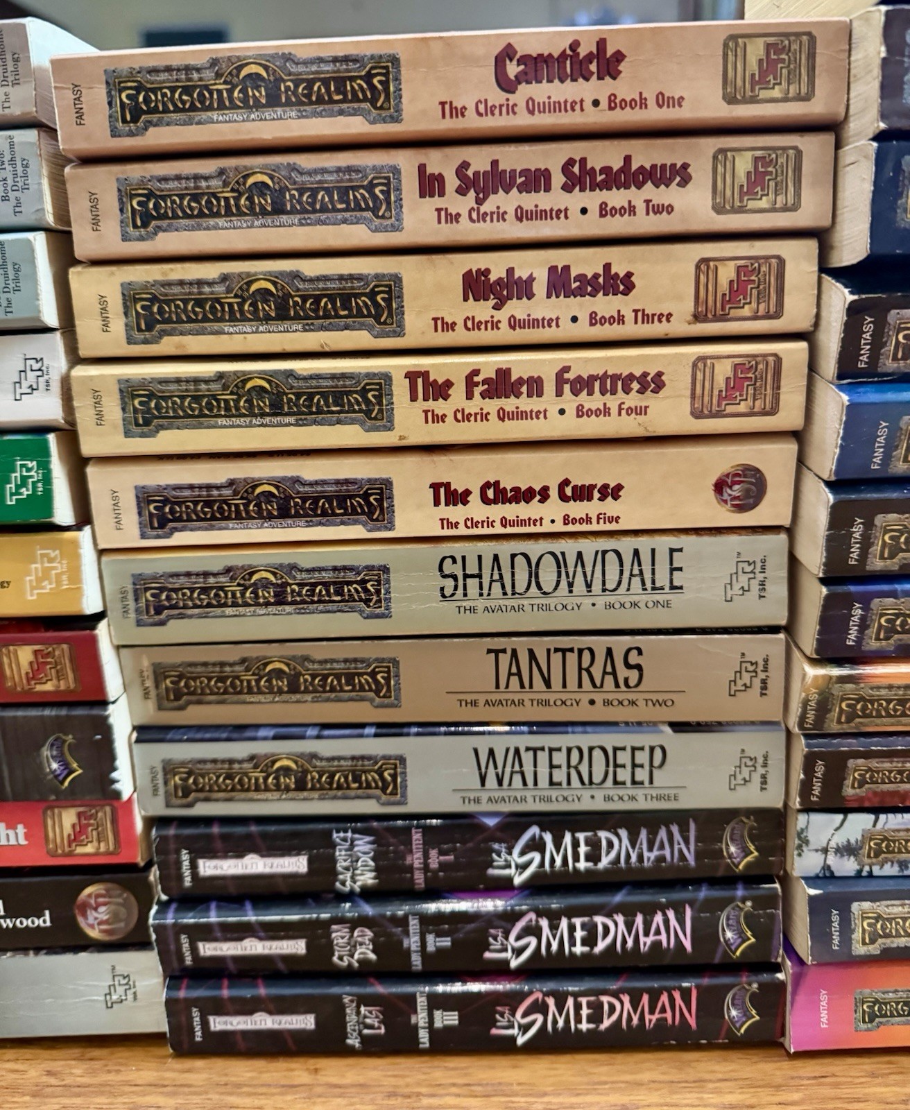 FORGOTTEN REALMS 53x PAPERBACK Book LOT Fantasy TSR Trilogies Etc