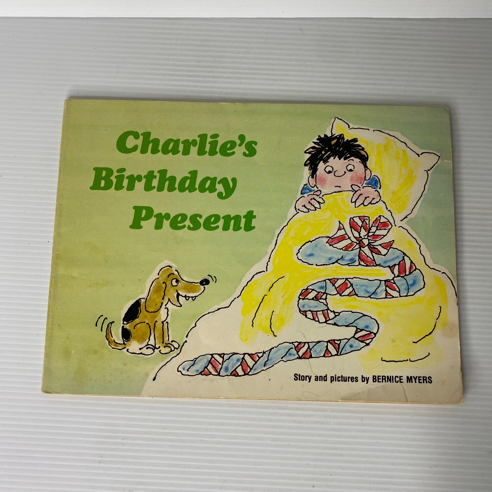 Charlie’s Birthday Present by Bernice Myers