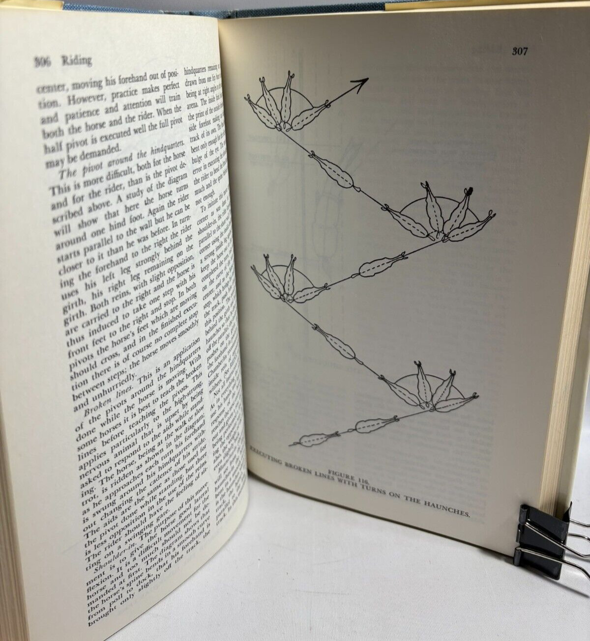 The Horseman’s Encyclopedia by Margaret Cabell Self, New & Revised Edition, 1978