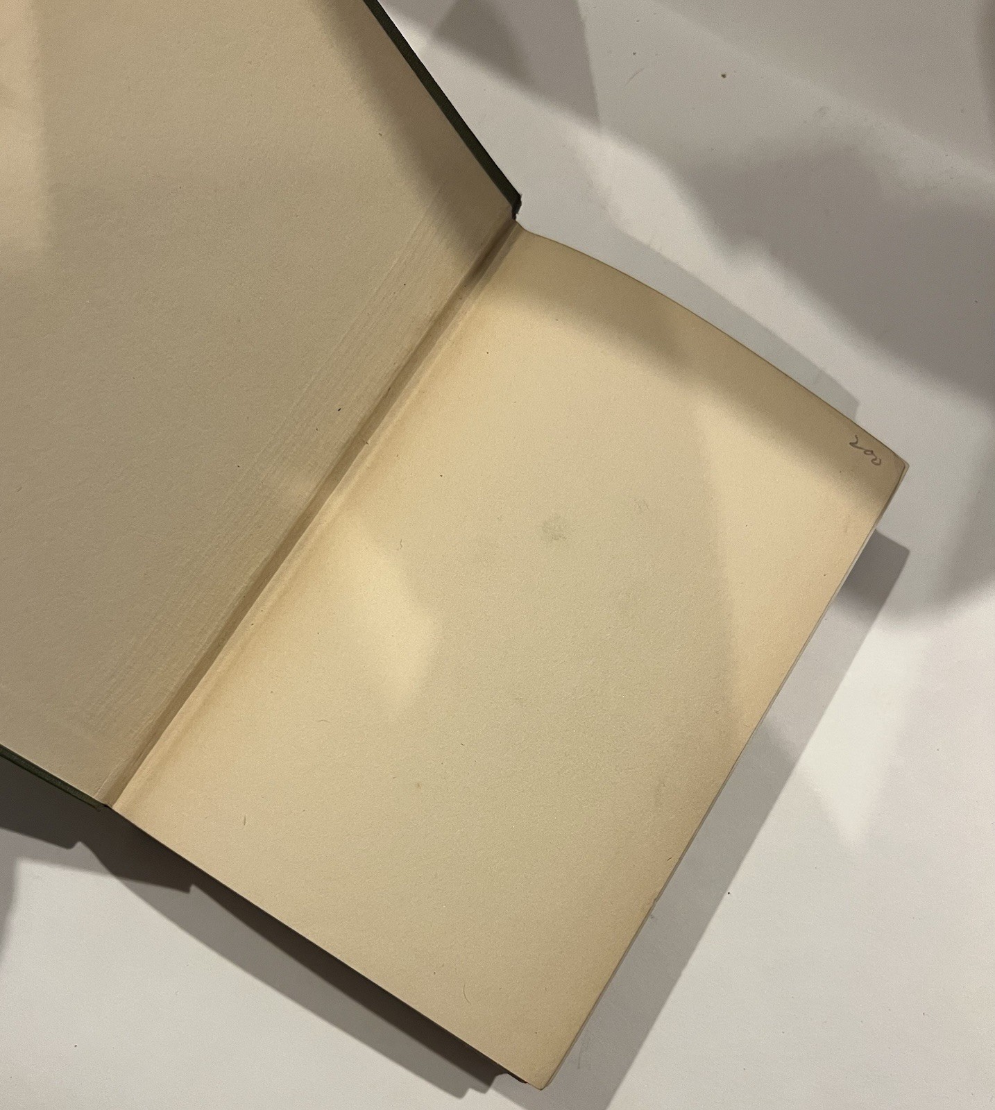 Idle Days in Patagonia W.H. Hudson 1917 hardcover book