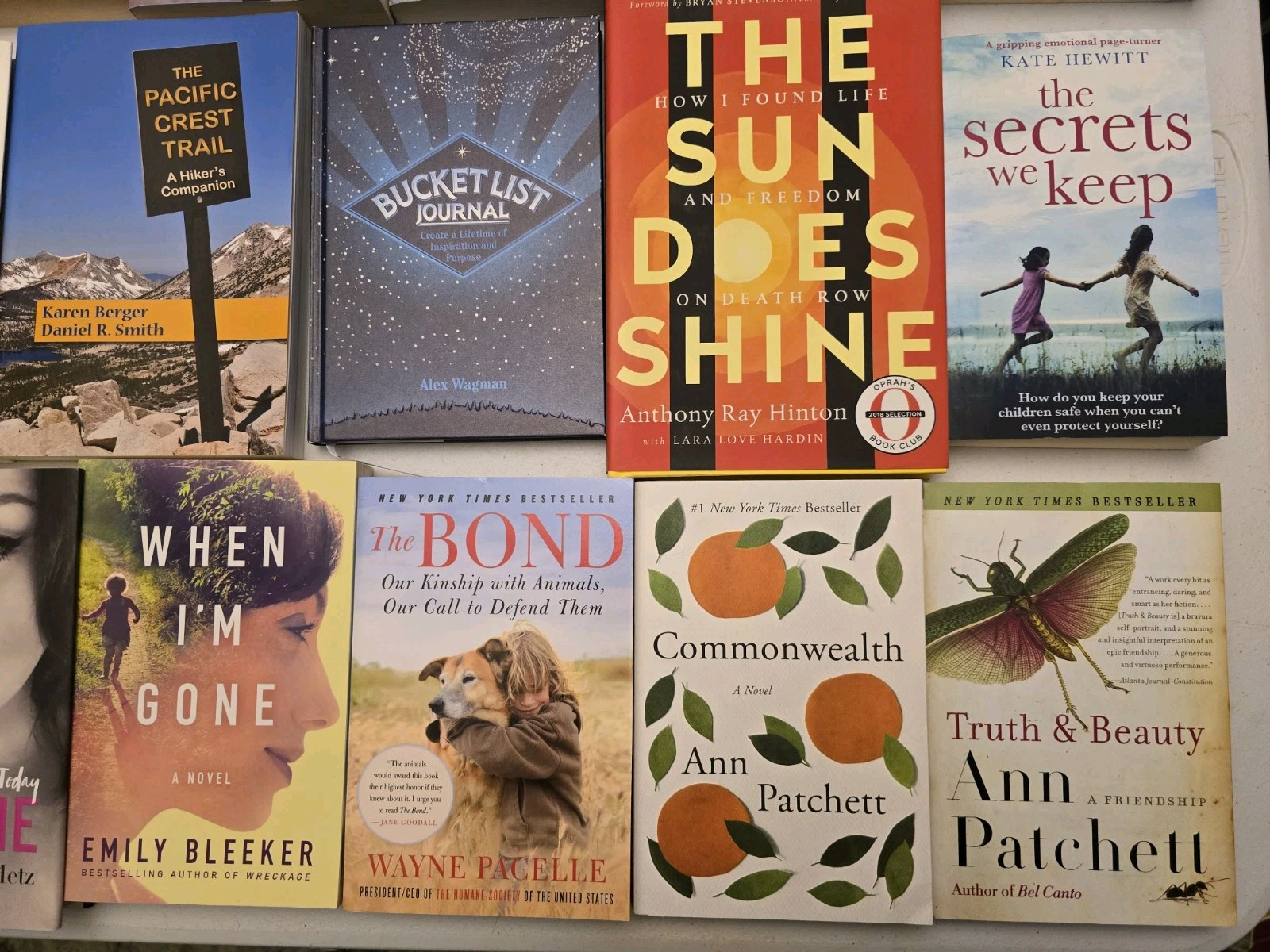 Lot 20 BEST-SELLING Books Young Adult Novels Anita Shreve Patricia Harman More