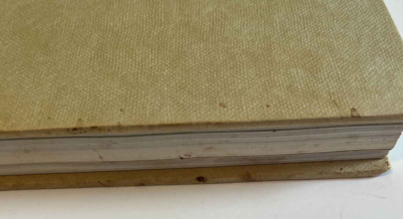 Princess Diana Royalty Revealed Ingrid Seward Unity Hall 1st US Ed Print 1989 HC