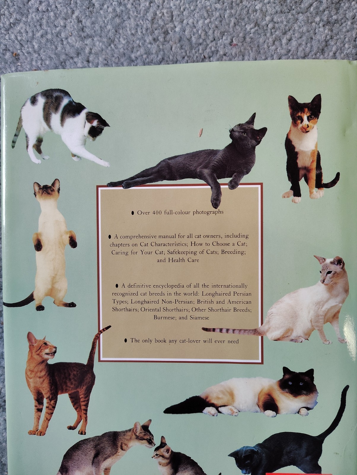 THE COMPLETE CAT BOOK By Paddy Cutts – Hardcover **BRAND NEW**