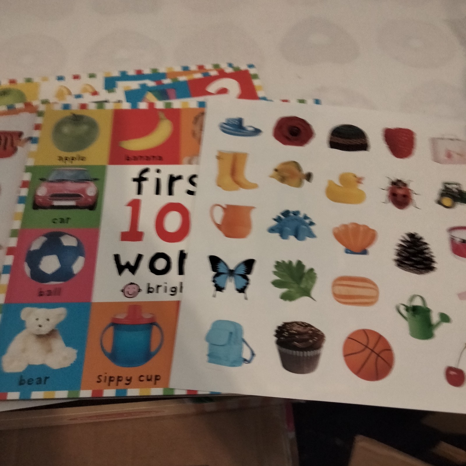 First 100 PB Box Set (5 Books) : First 100 Words; First 100 Animals; First…