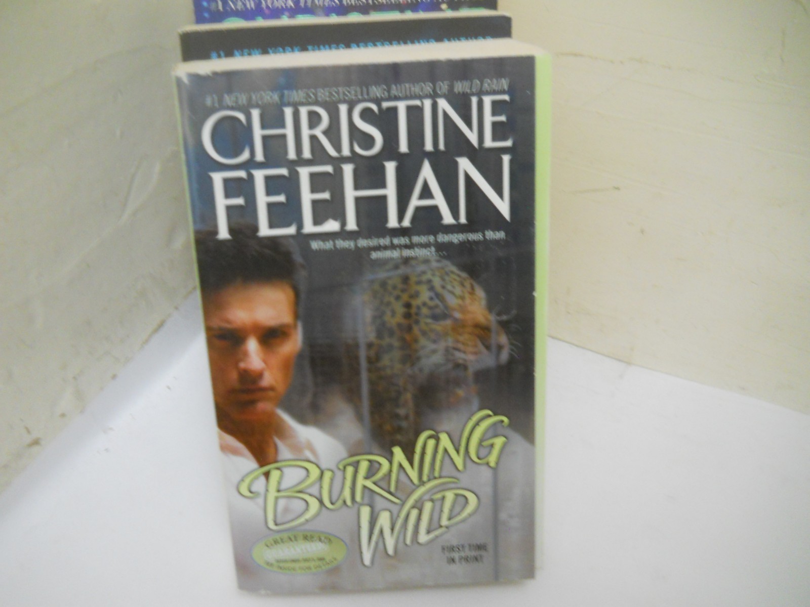 Christine Feehan Lot of 4 Paranormal Romance VG / Fine ~ Fast Shipping