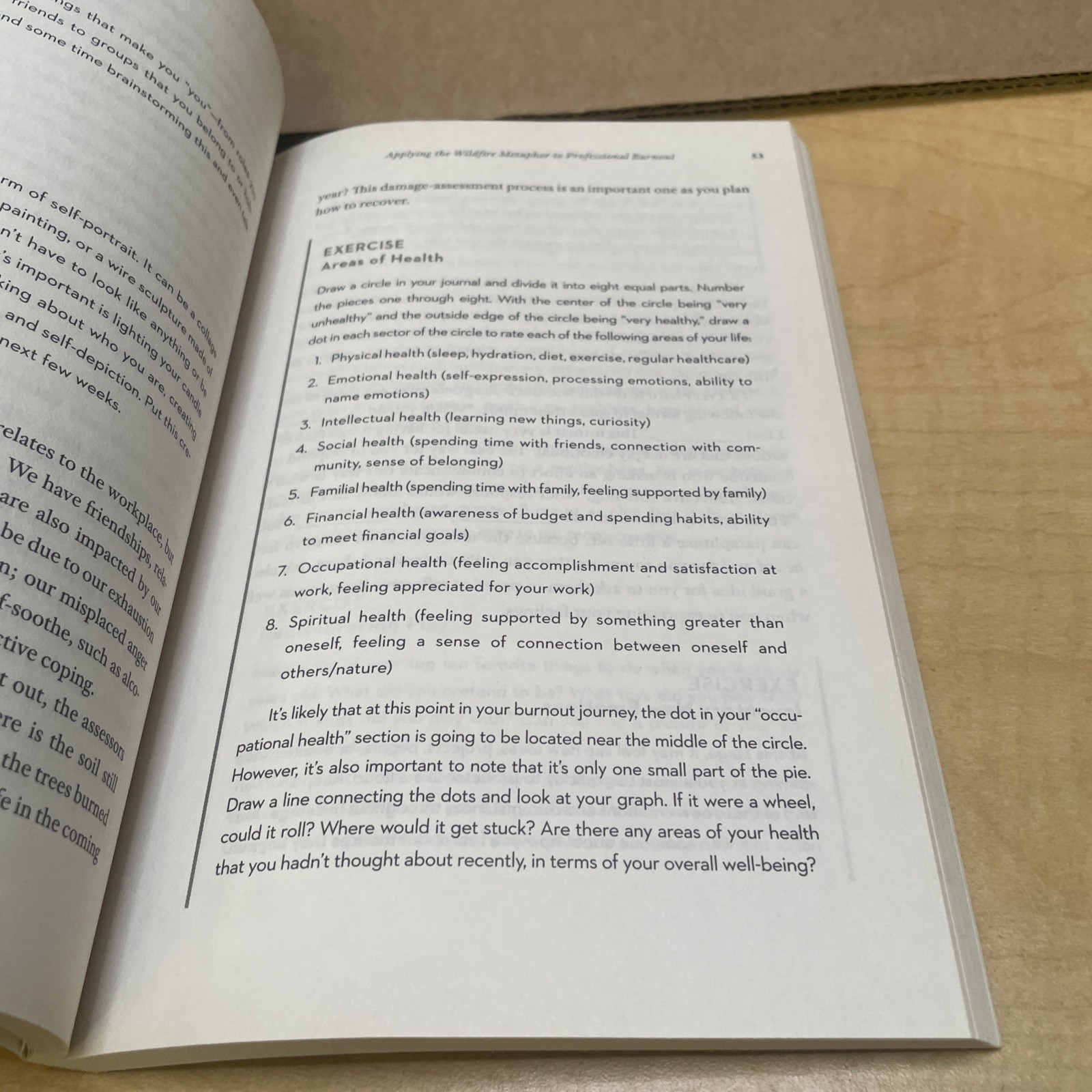 Burnout Recovery by Alicia King Anderson Paperback