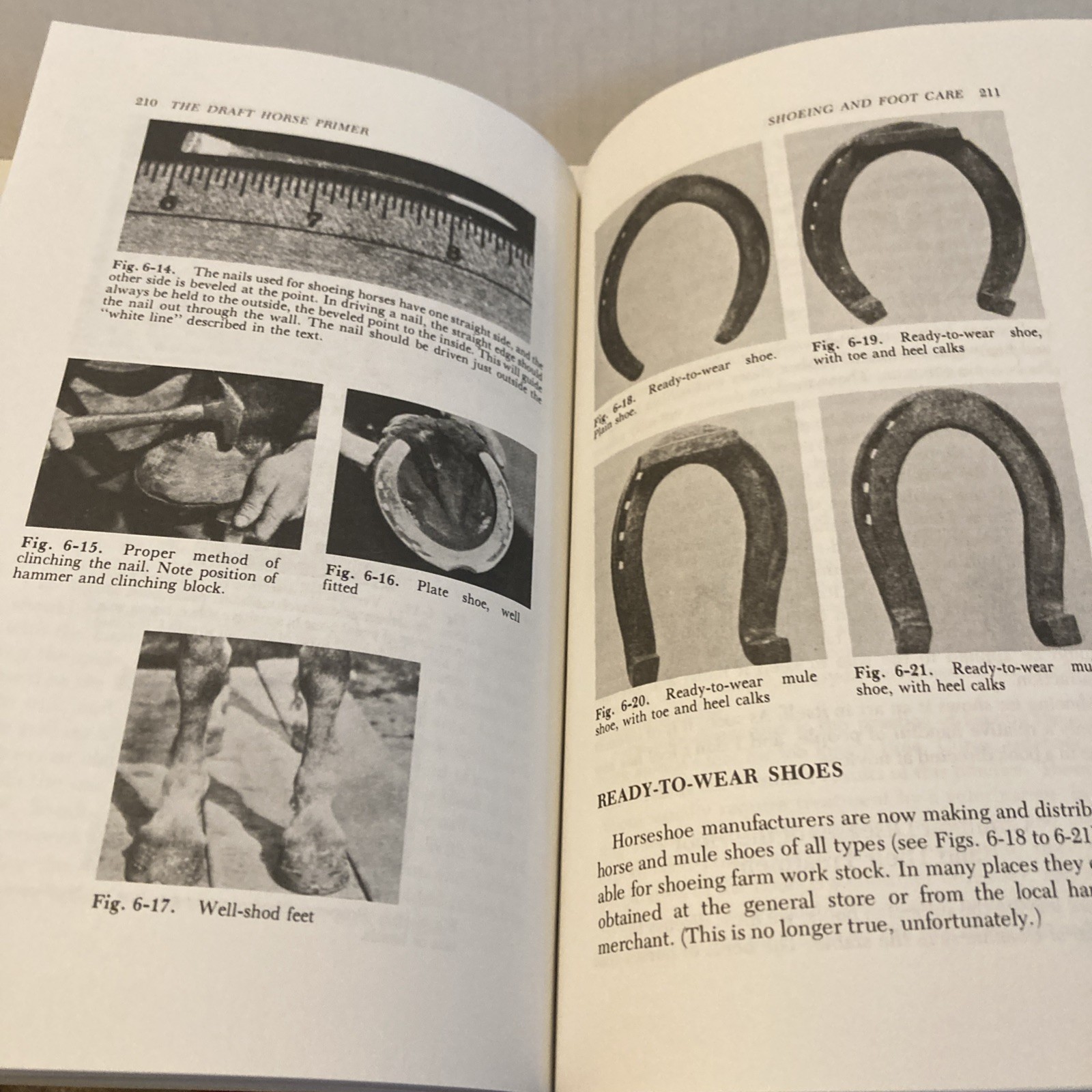 The Draft Horse Primer by Maurice Tellen 1977 Paperback 392 Pages