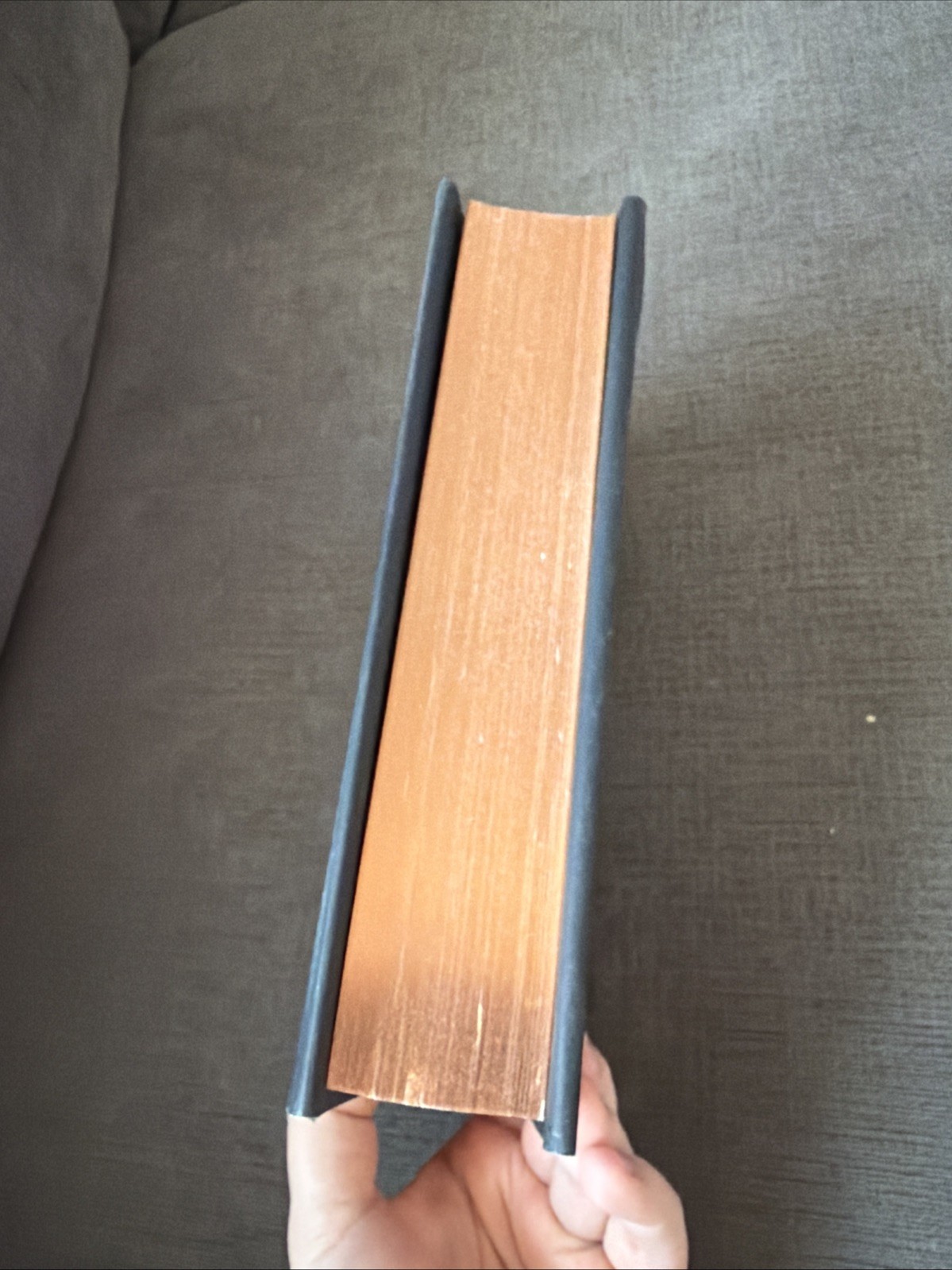 Brimstone (Deluxe Limited Edition) by Callie Hart (Hardcover) 1st Edition
