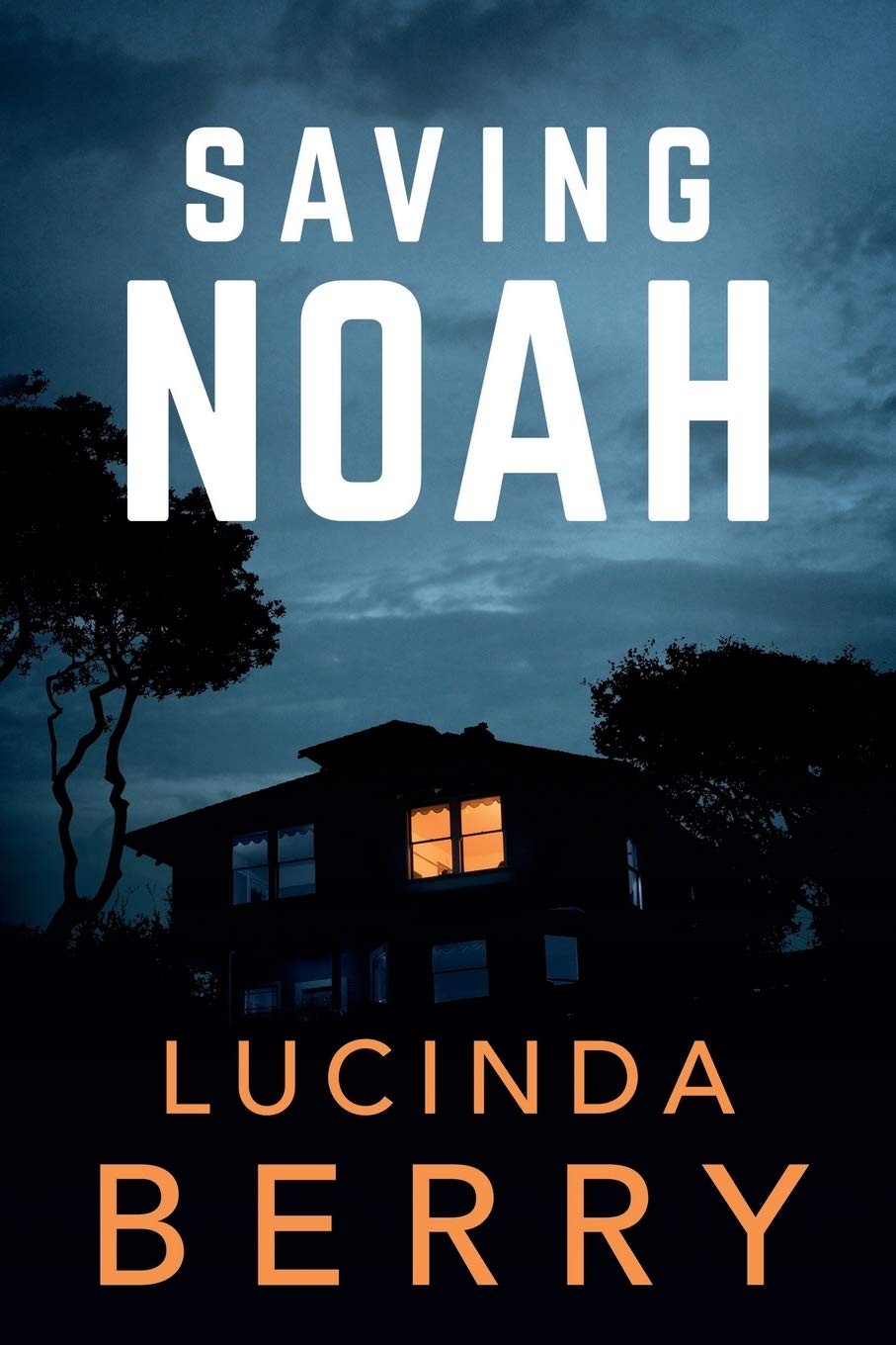 Saving Noah Paperback by Lucinda Berry