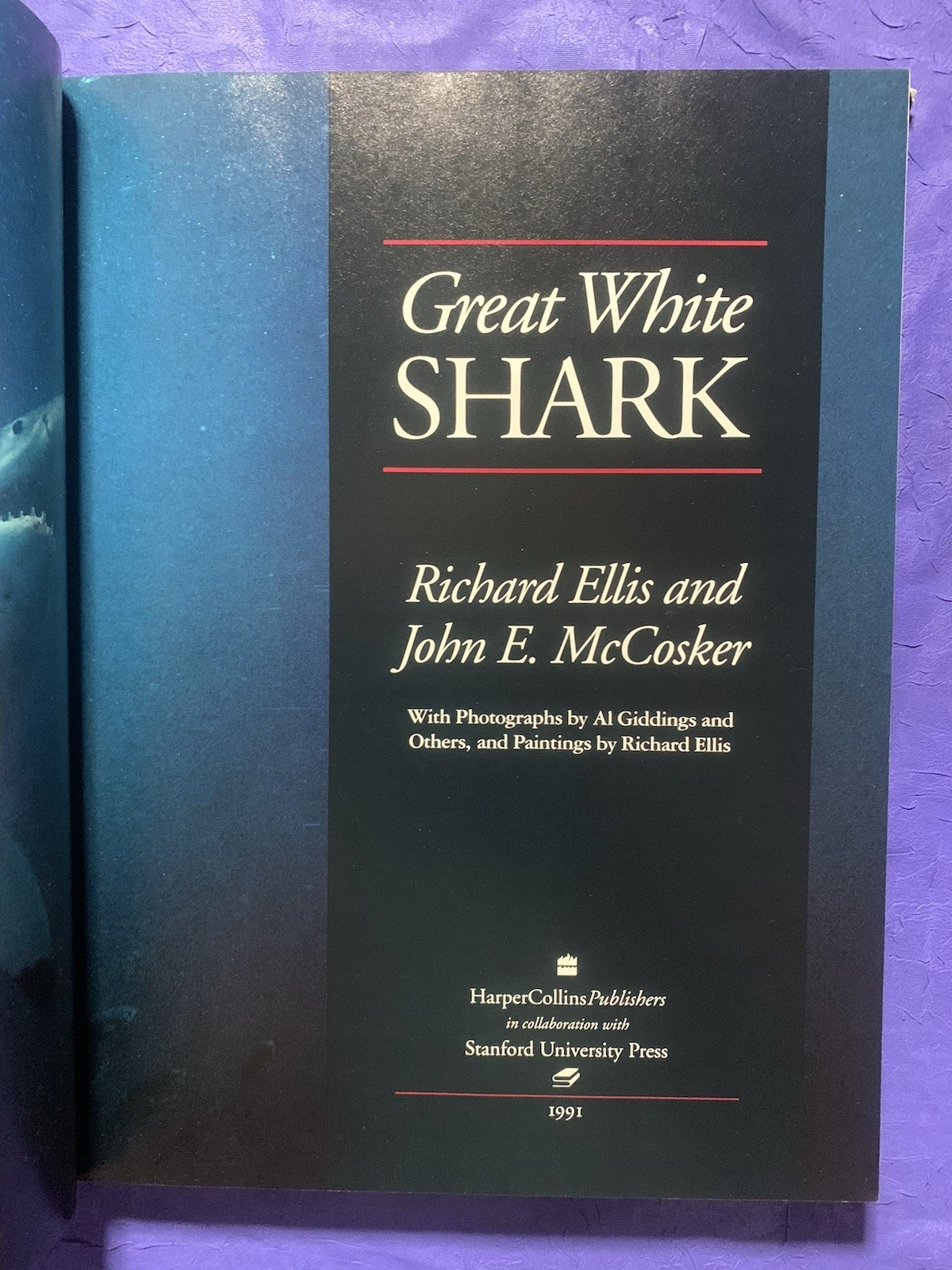 GREAT WHITE SHARK By Richard Ellis & John E. Mccosker – Hardcover w/ Dust Jacket