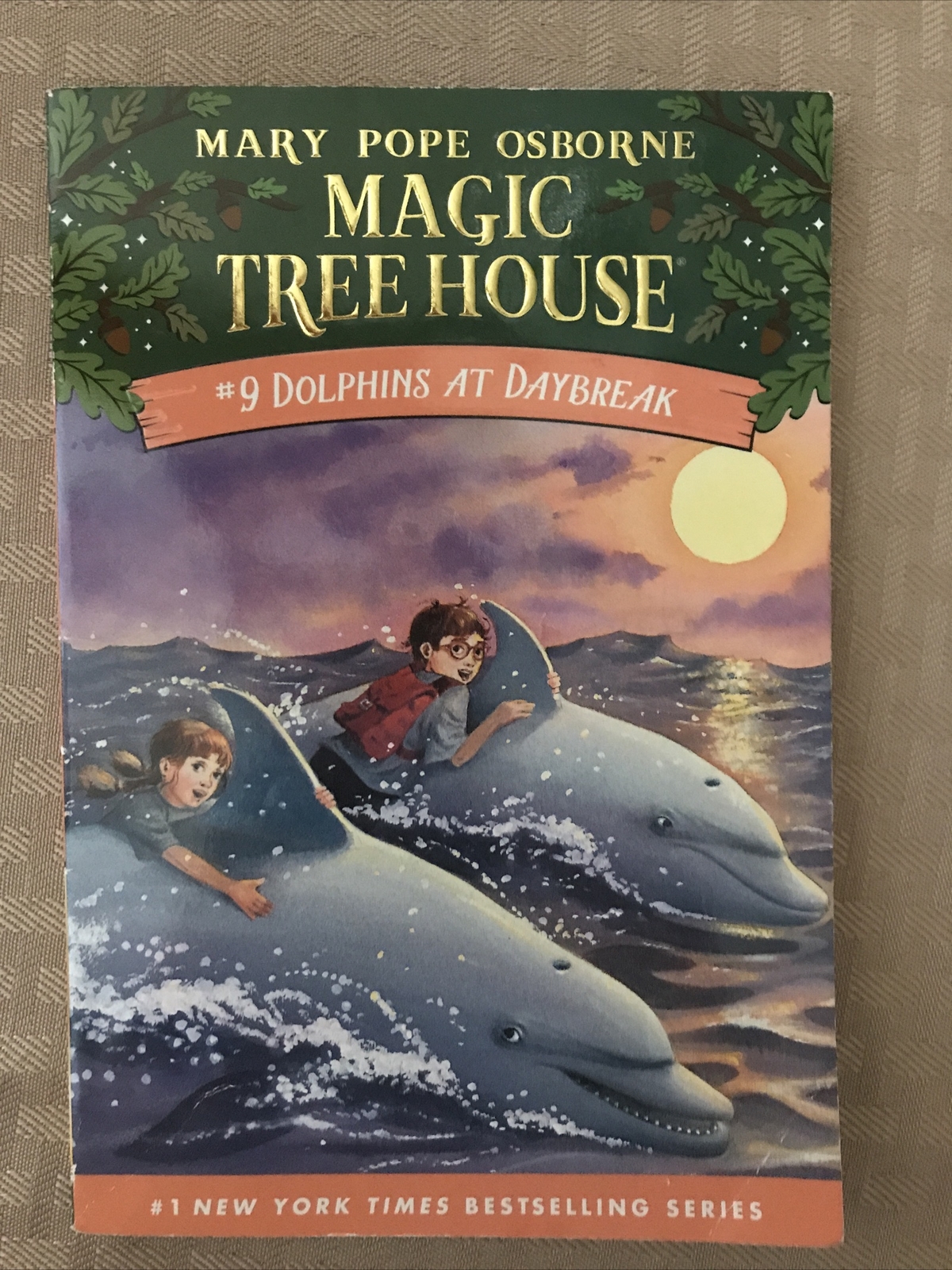 Dolphins at Daybreak (Magic Tree House, No. 9)