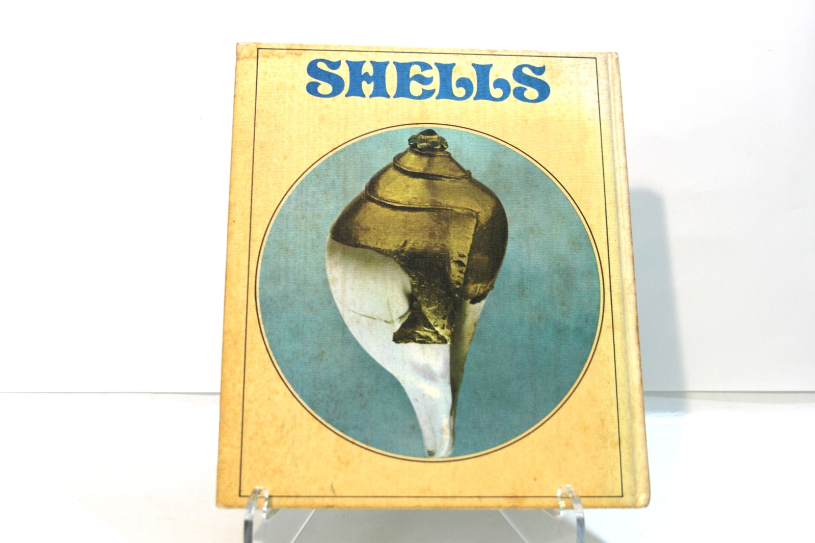 Vintage Shells Roderick Cameron 1972 Octopus HC Illustrated Sea Shell Ref Book