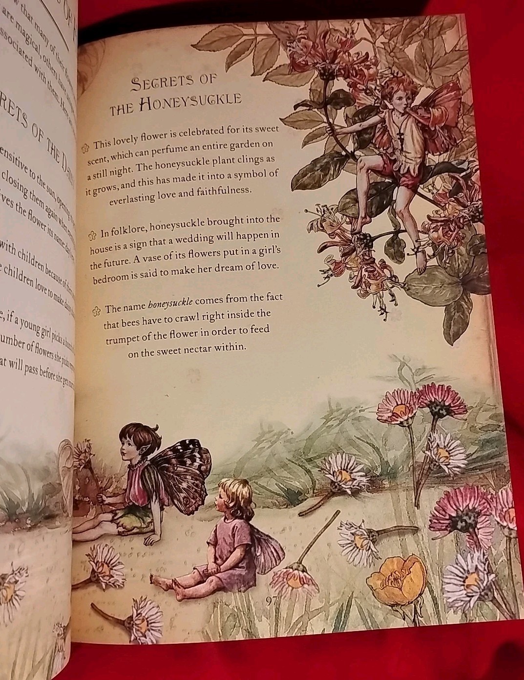 The Girls’ Book of Flower Fairies by Frederick Warne, 2008 New