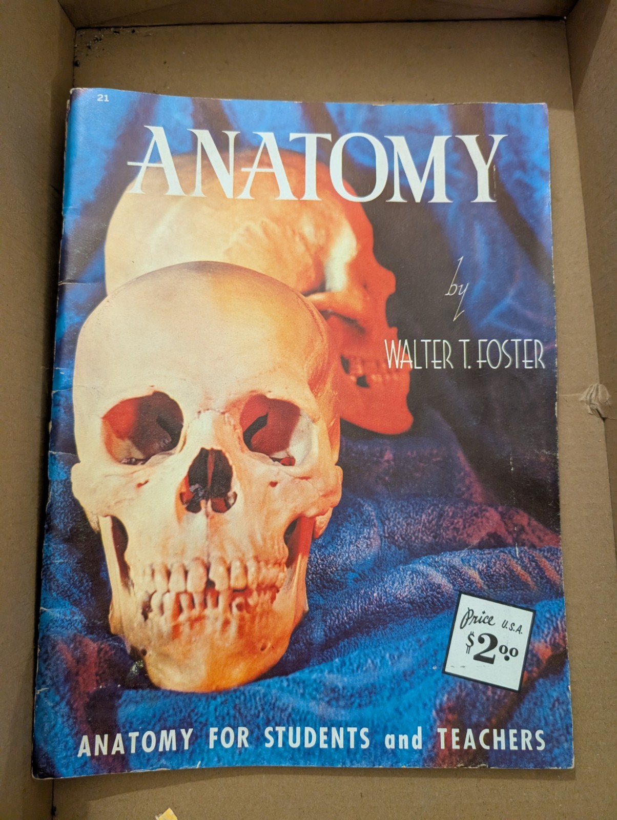 ANATOMY Drawing Book by Walter T Foster. For Students & Teachers. #21 VTG