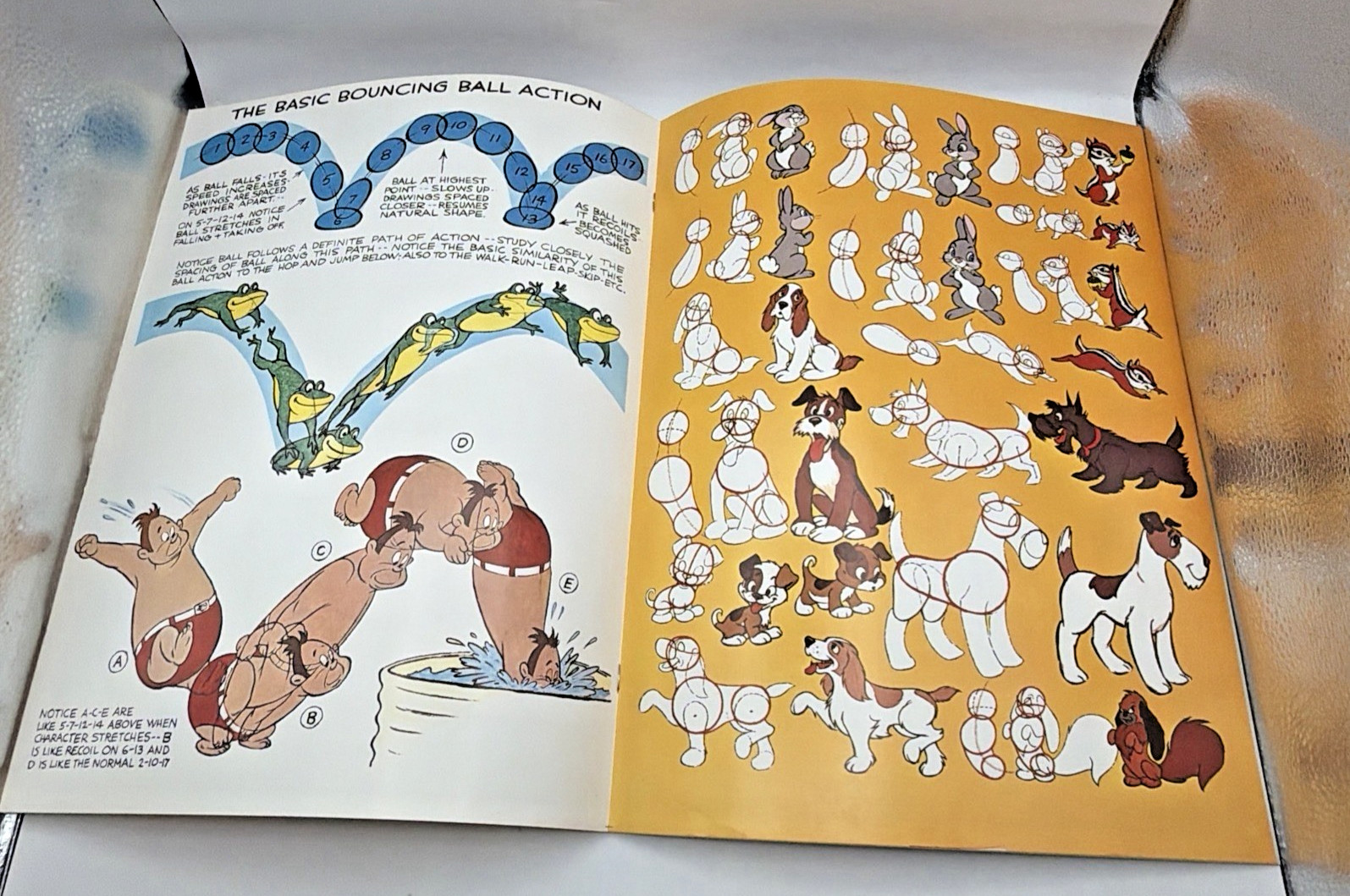 Animation & Modern Cartoon By Preston Blair Published By Walter T Foster Vintage
