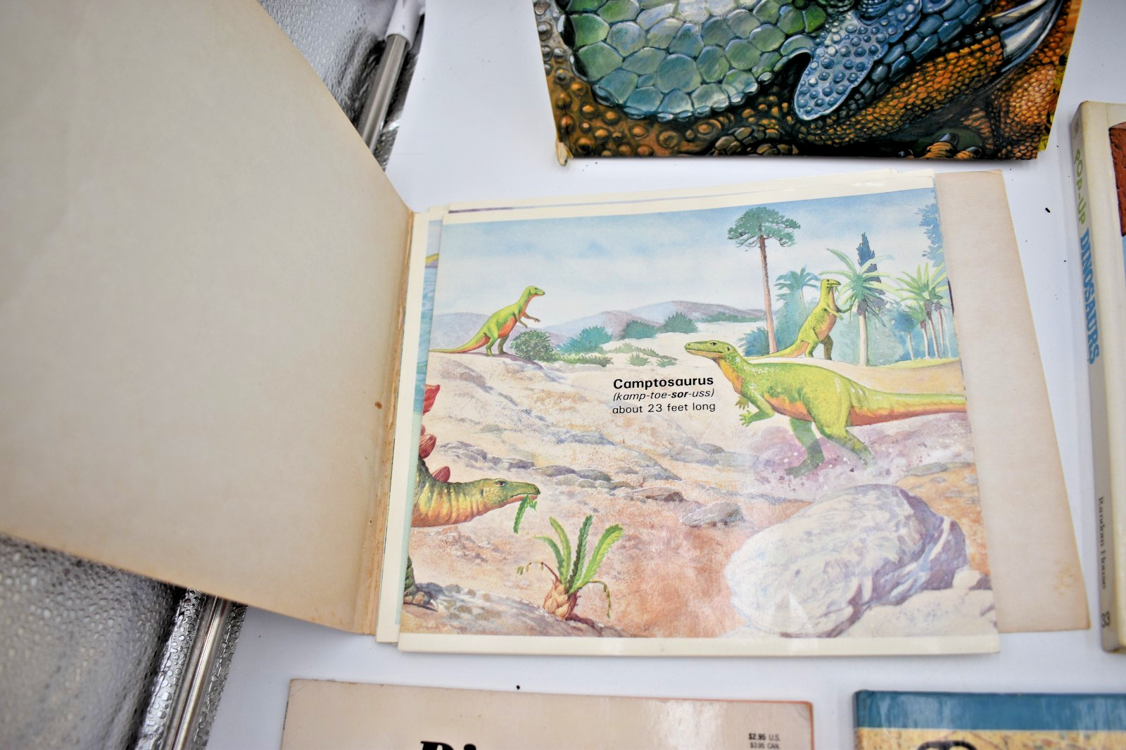 Lot of Dinosaurs Educational Children’s Books Popups, Golden, Blue Ribbon,+ More