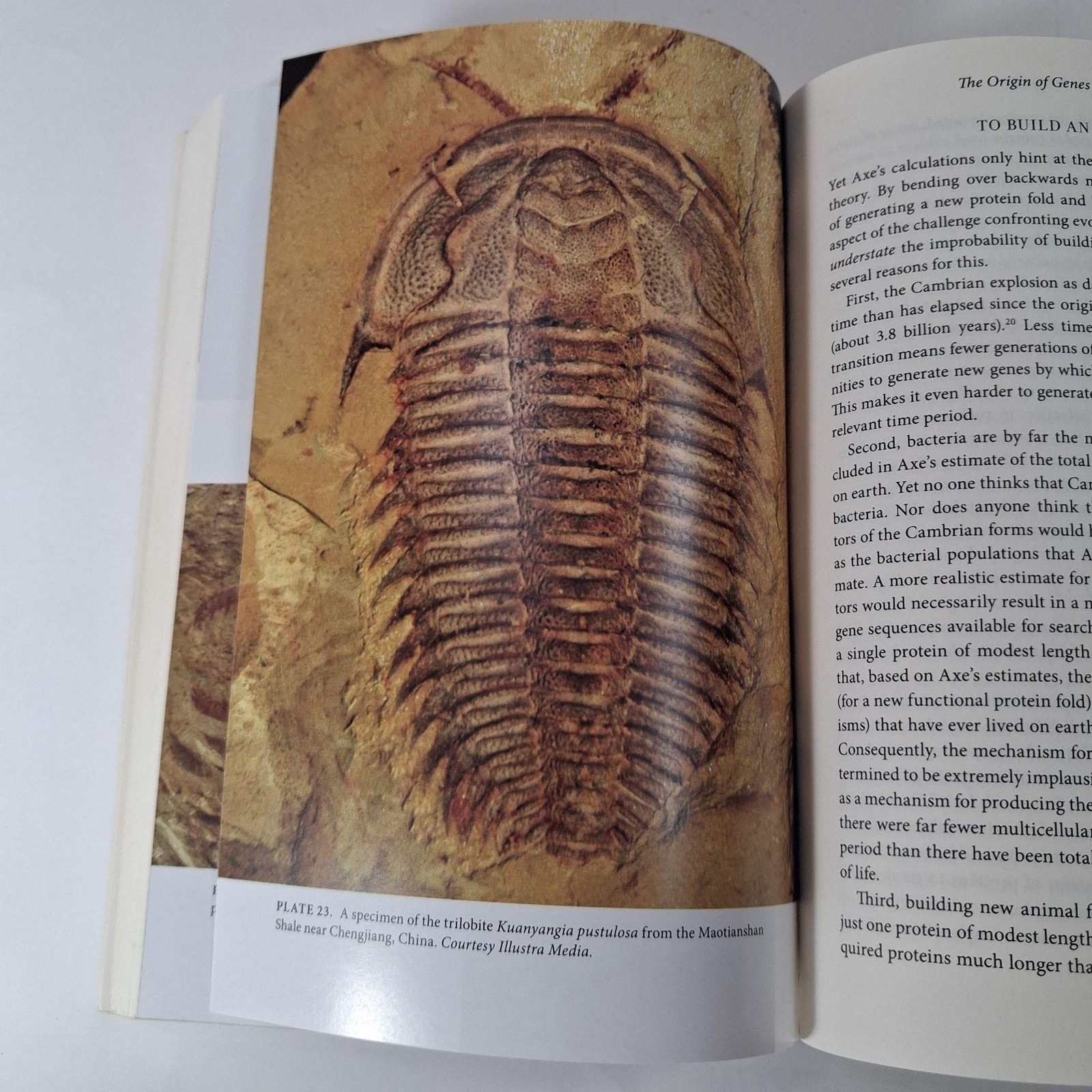 Darwin’s Doubt: Animal Life & Intelligent Design By Stephen C Meyer (2014 PB)