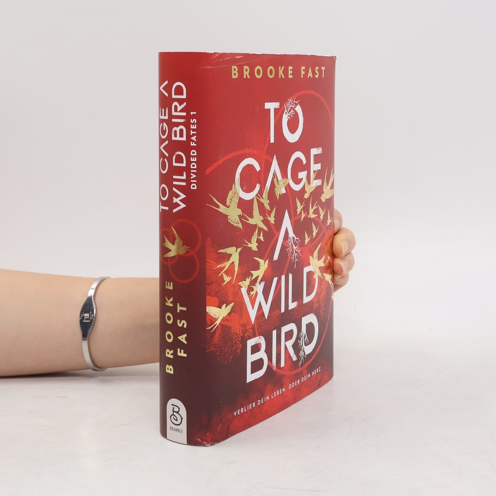 To Cage a Wild Bird  |  Brooke Fast
