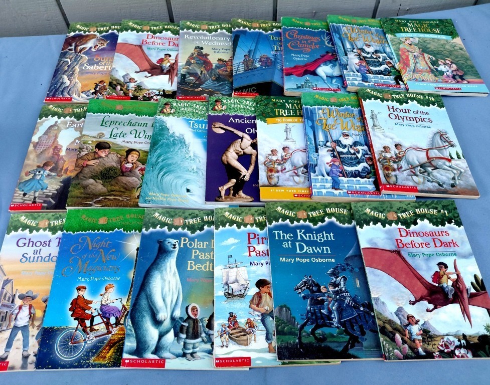 COLLECTION (20) MAGIC TREE HOUSE GIRLS YOUTH STORY SERIES SC